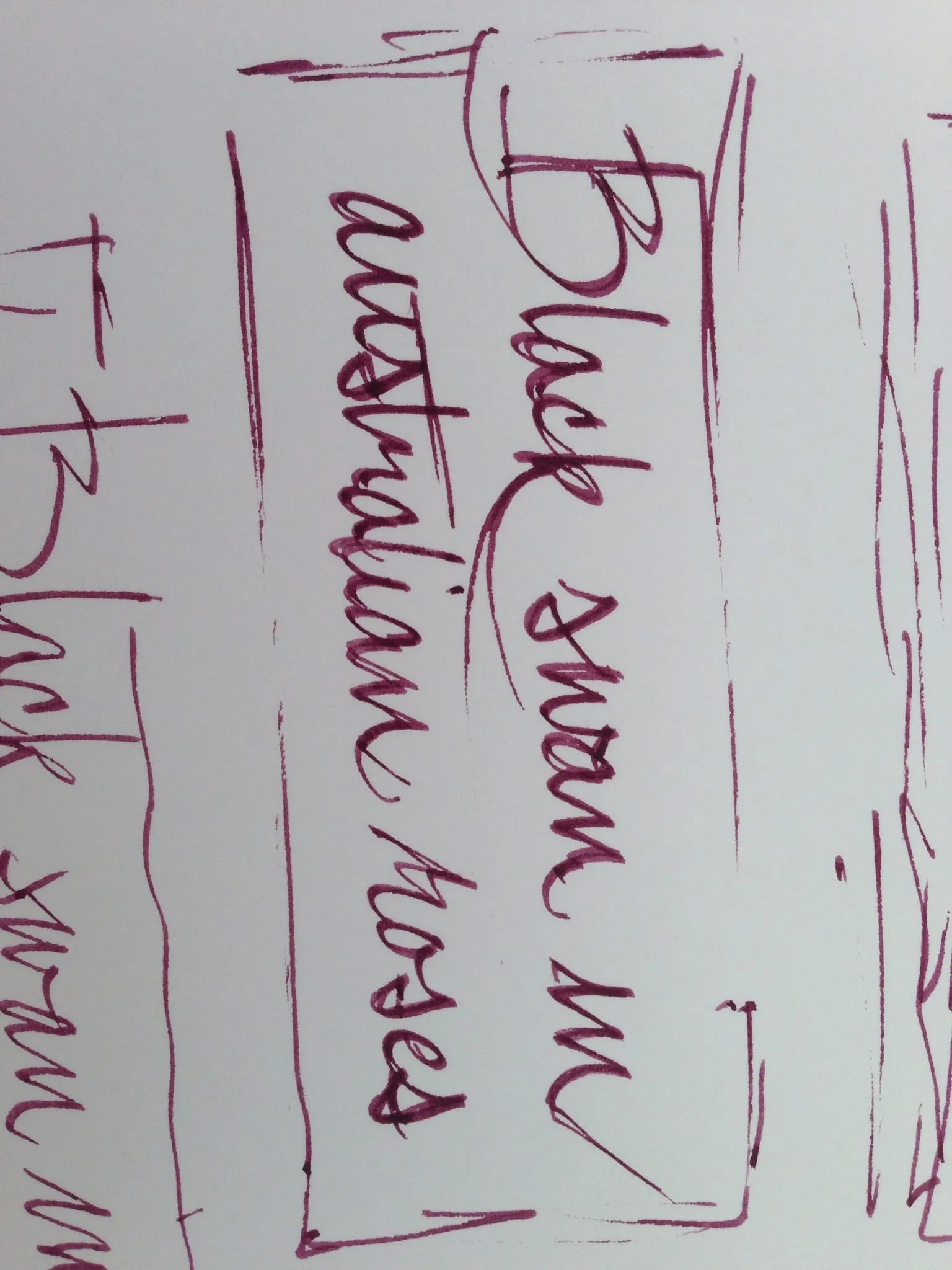 Noodler's Black Swan in Australian Roses on Rhodia Bloc pad