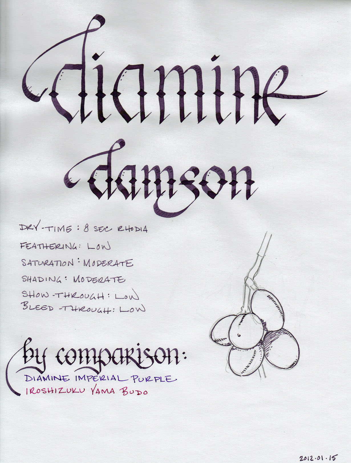 diamine damson