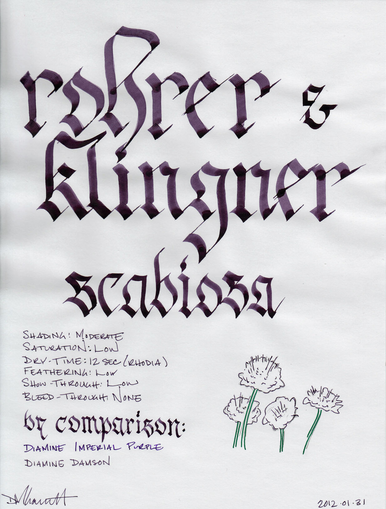 rohrer and klingner scabiosa