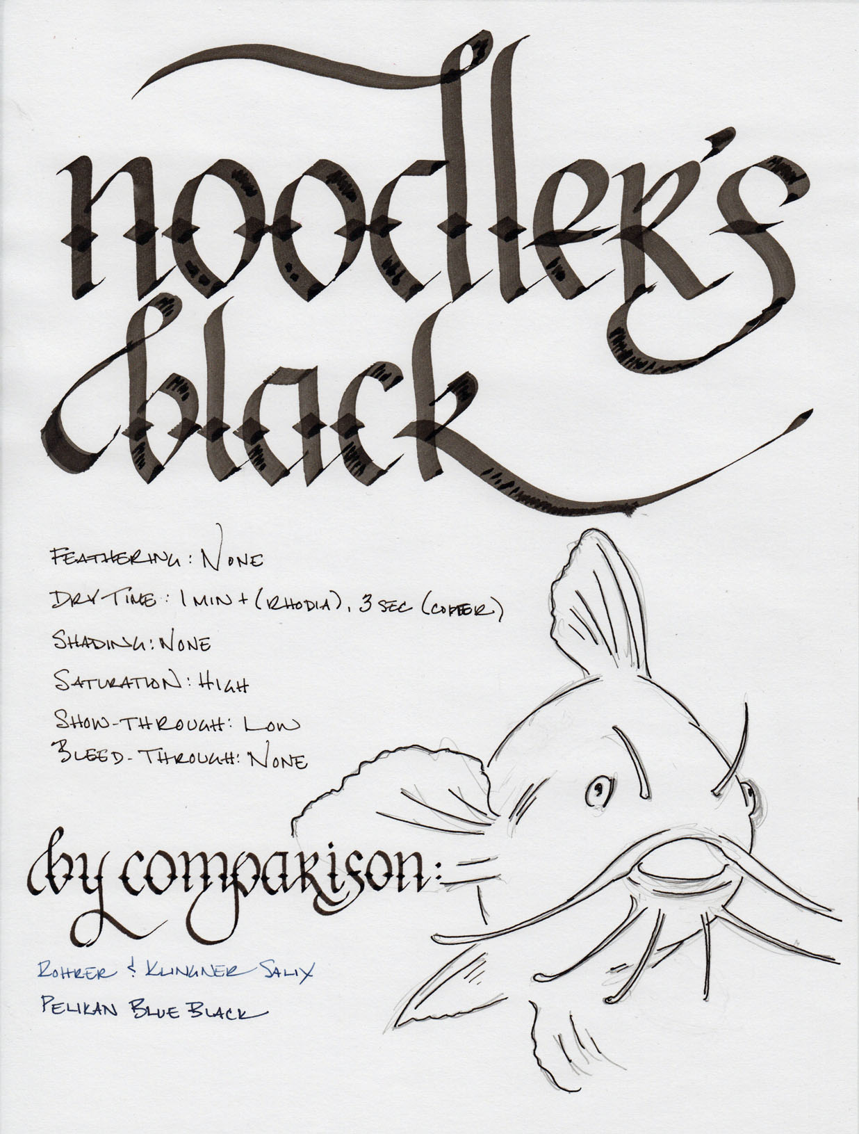 ink review: noodler's black revisited - Seize the Dave